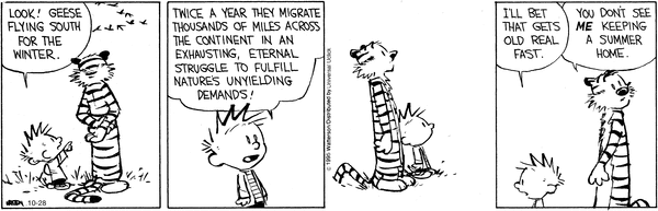 calvinandhobbes