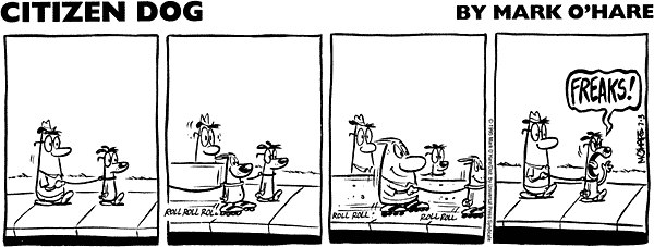 citizendog
