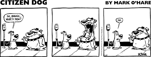 citizendog
