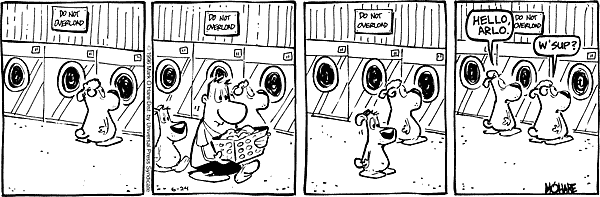 citizendog