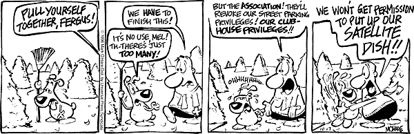 citizendog