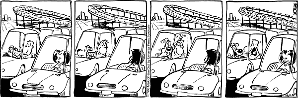 citizendog