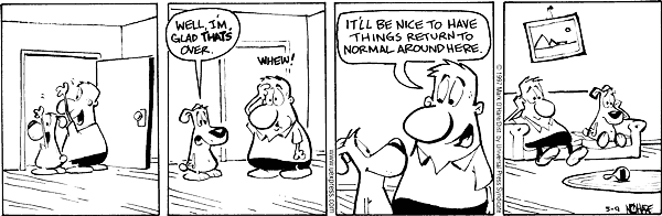 citizendog