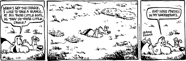 citizendog