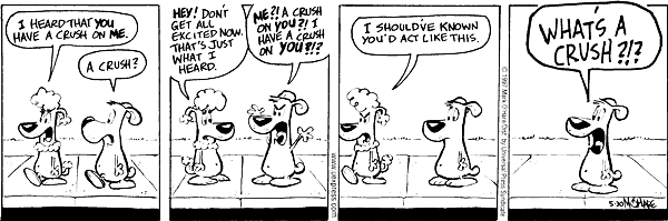 citizendog
