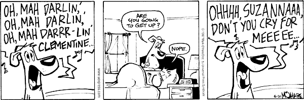 citizendog