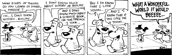 citizendog