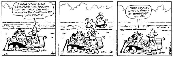 citizendog