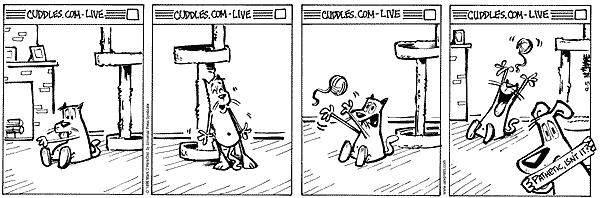 citizendog
