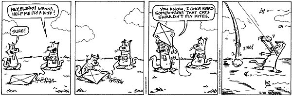 citizendog