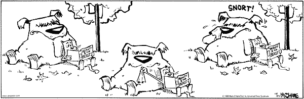 citizendog