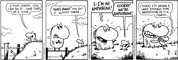 citizendog