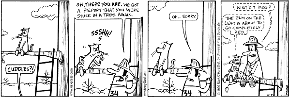 citizendog