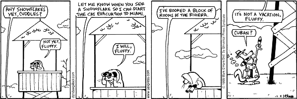citizendog
