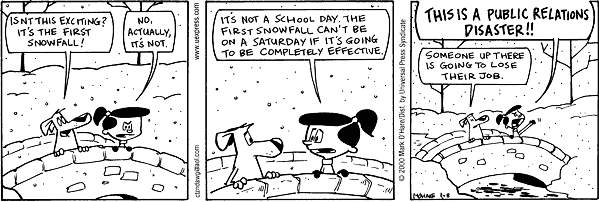 citizendog