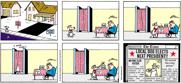 citizendog