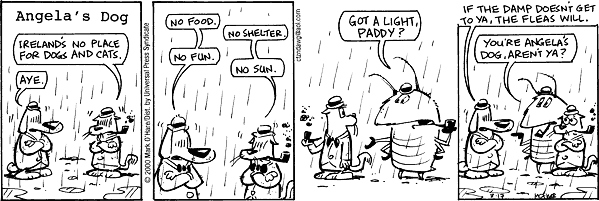 citizendog