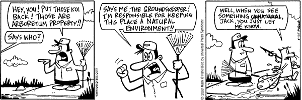 citizendog