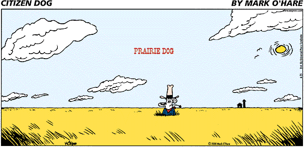 citizendog