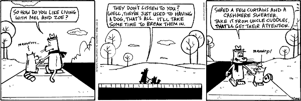 citizendog
