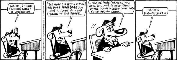citizendog