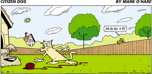 citizendog