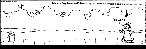 citizendog