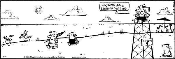 citizendog