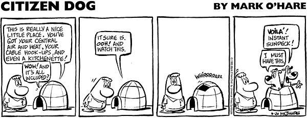 citizendog