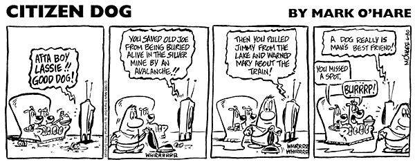 citizendog