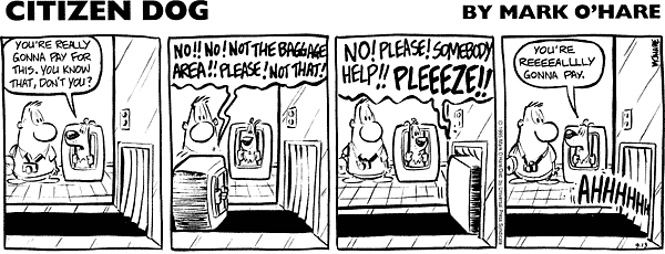 citizendog