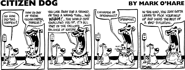 citizendog