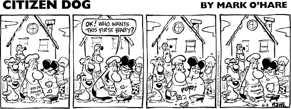citizendog