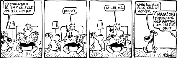 citizendog