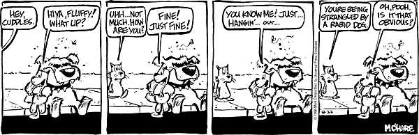 citizendog