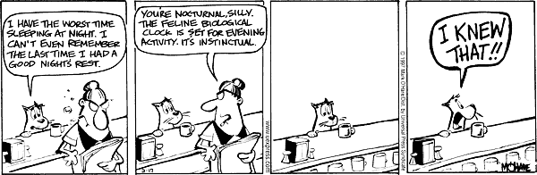 citizendog
