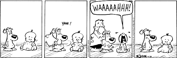 citizendog
