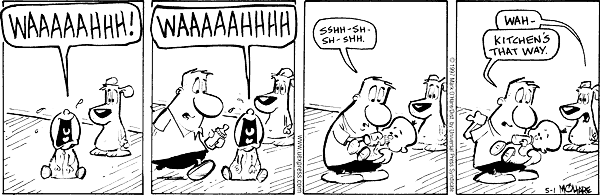 citizendog