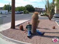 cactusgarden.jpg