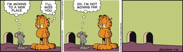 garfield