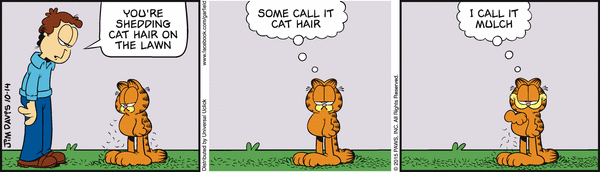 garfield