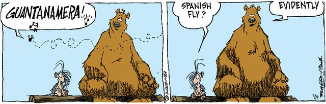 grizzwells