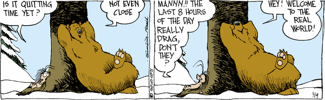 grizzwells