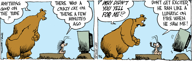 grizzwells