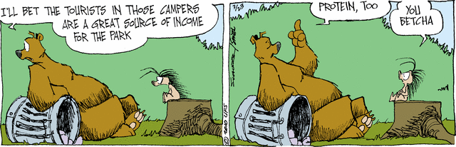 grizzwells