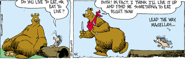 grizzwells