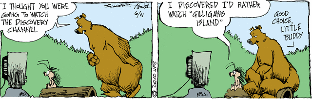 grizzwells