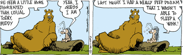 grizzwells