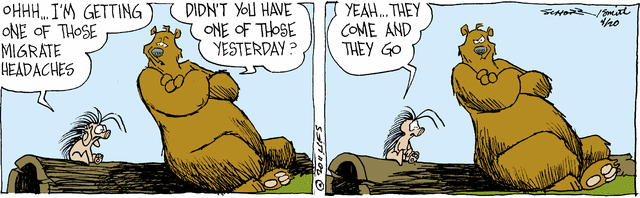 grizzwells