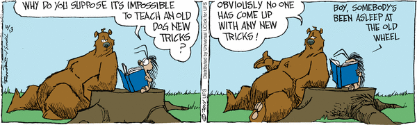 grizzwells